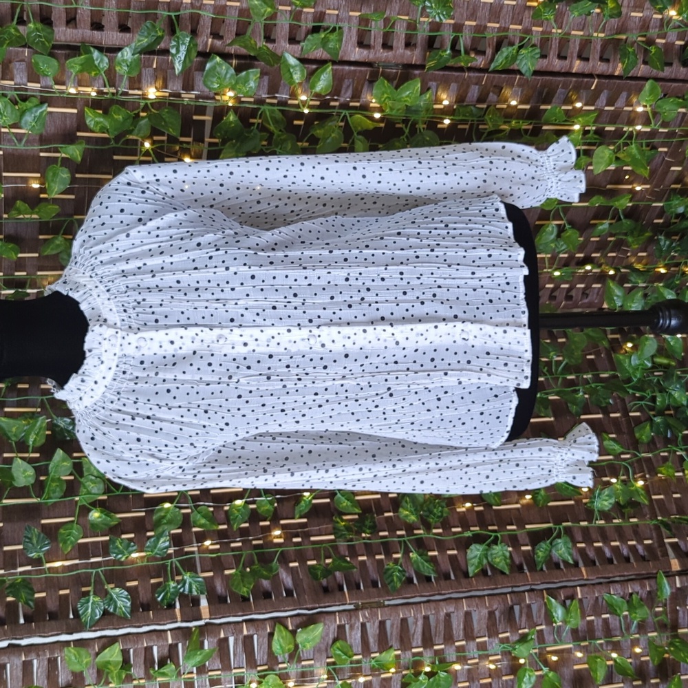 Zara Polka Dot Sheer Button Down Blouse